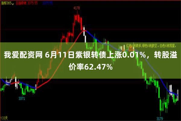 我爱配资网 6月11日紫银转债上涨0.01%，转股溢价率62.47%