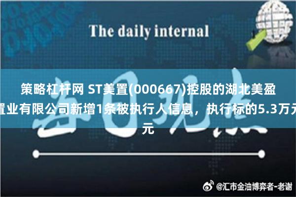 策略杠杆网 ST美置(000667)控股的湖北美盈置业有限公司新增1条被执行人信息，执行标的5.3万元