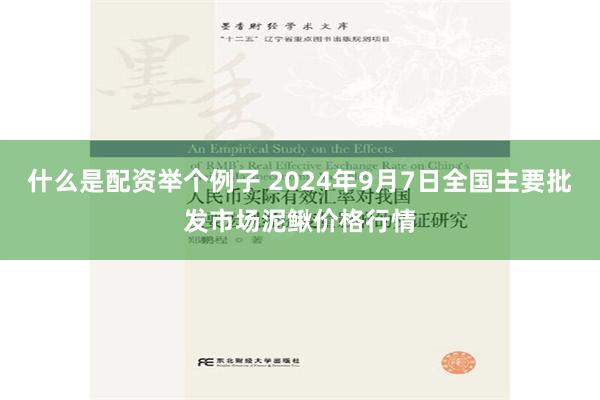 什么是配资举个例子 2024年9月7日全国主要批发市场泥鳅价格行情