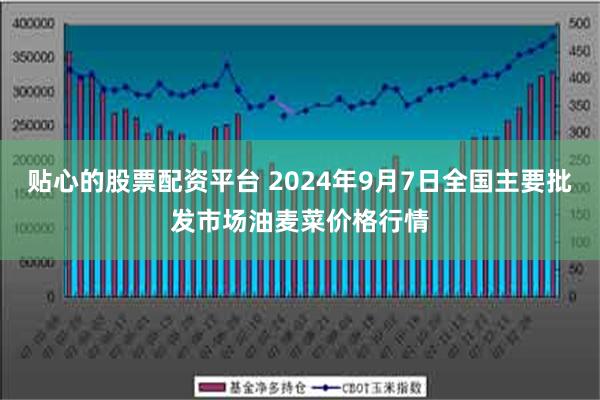 贴心的股票配资平台 2024年9月7日全国主要批发市场油麦菜价格行情