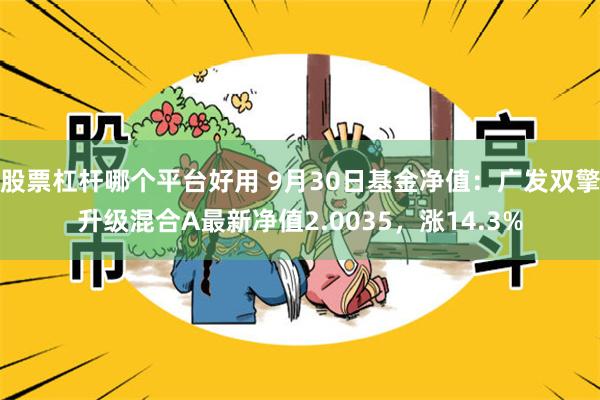 股票杠杆哪个平台好用 9月30日基金净值：广发双擎升级混合A最新净值2.0035，涨14.3%