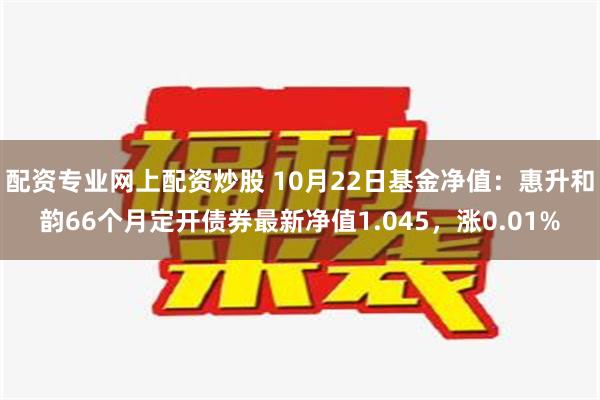 配资专业网上配资炒股 10月22日基金净值：惠升和韵66个月定开债券最新净值1.045，涨0.01%