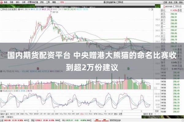 国内期货配资平台 中央赠港大熊猫的命名比赛收到超2万份建议