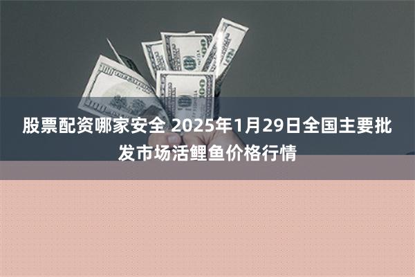 股票配资哪家安全 2025年1月29日全国主要批发市场活鲤鱼价格行情